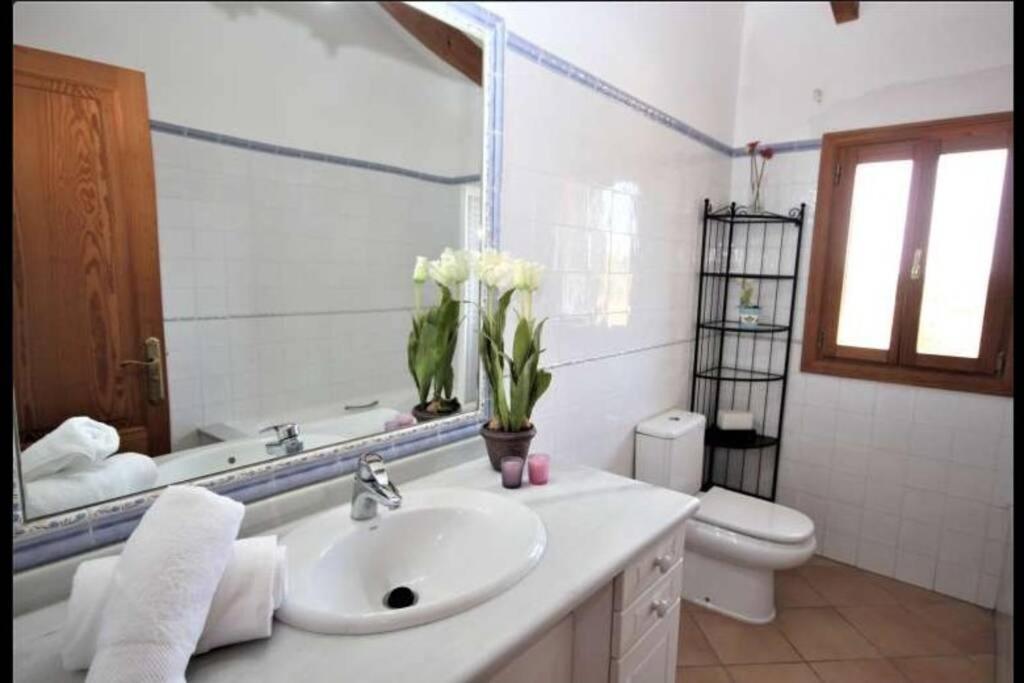 Villa Ses Quelites Binisalem Exteriér fotografie